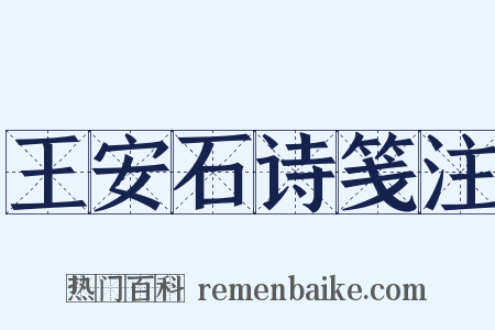 王安石诗笺注是什么意思的图片